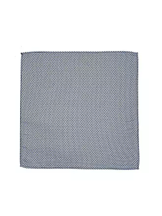 SEIDENFALTER | Pochette de costume | hellblau